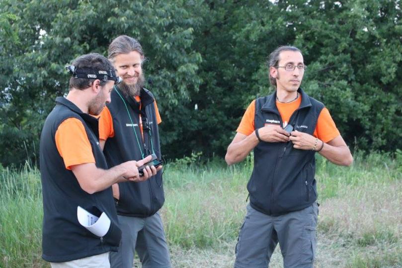 animali della notte 1