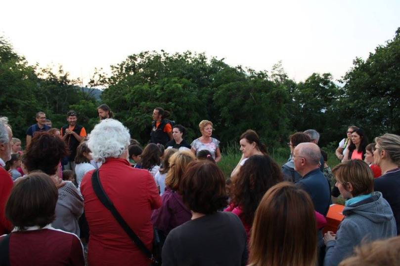 animali della notte 2