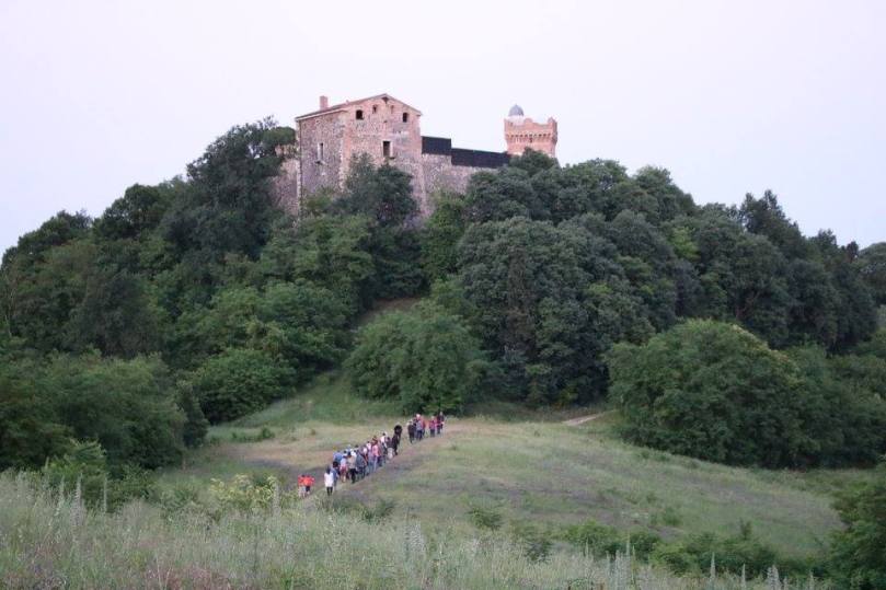 animali della notte 3