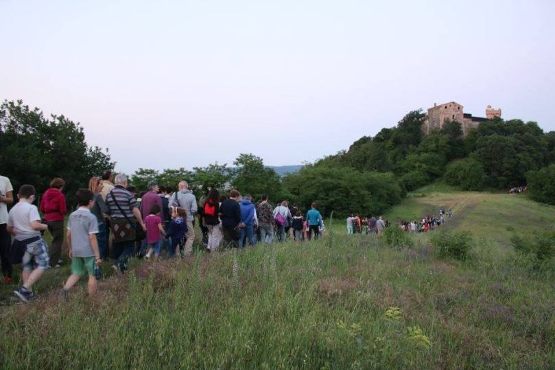 animali della notte 4