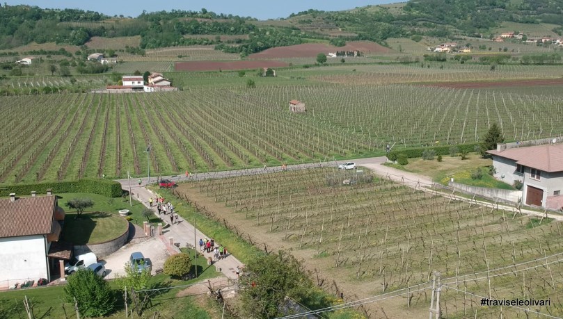 26810893387_21854d8a98_o