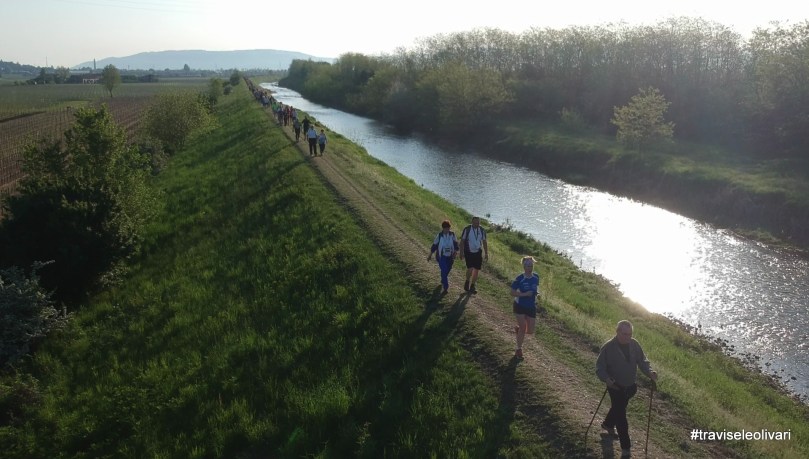 40787614405_35e2c002a3_o