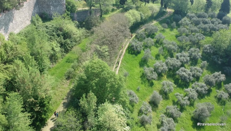 40968311254_58c91dc506_o