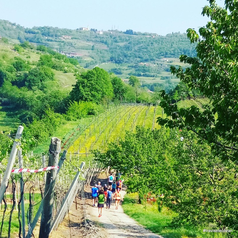 40968314414_da3e5ae8c5_o