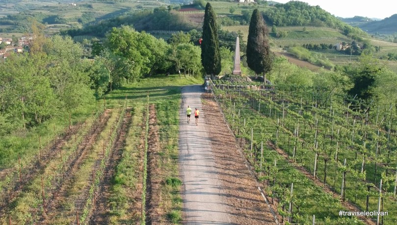 41638520372_7786f153c5_o