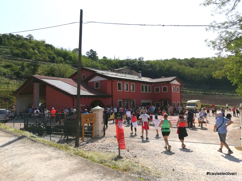 41677594521_f2cb294630_o