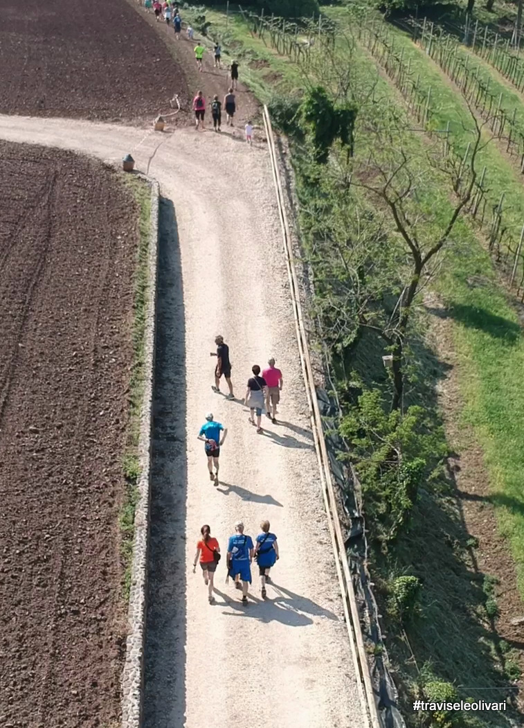 41677596211_48266d5778_o