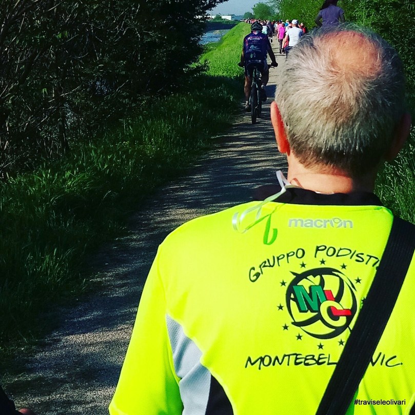 41677599331_b9eeb3e797_o