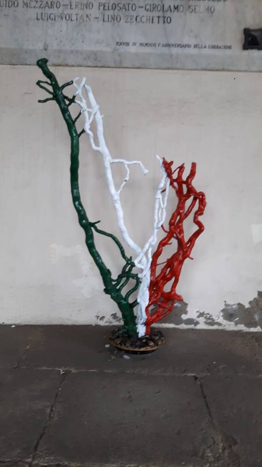 WhatsApp Image 2018-12-21 at 17.11.47 (1)