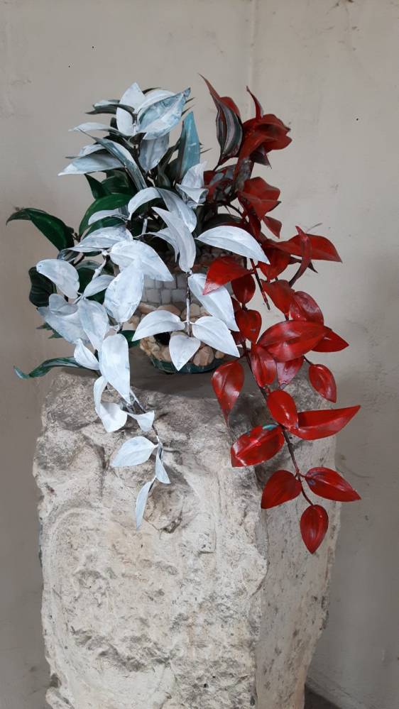 WhatsApp Image 2018-12-21 at 17.11.47