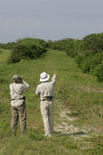two-nature-lovers-walk-363x544