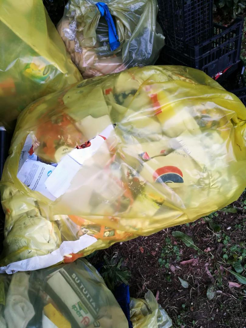 WhatsApp Image 2020-01-21 at 16.58.54