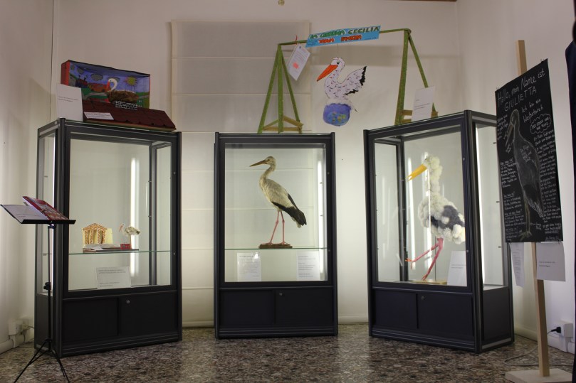 allestimento_cicogna_marzo_2020 (2)